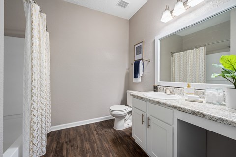 Model Bathroom at Chace Lake